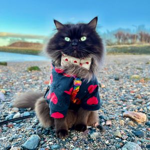jasperandme123