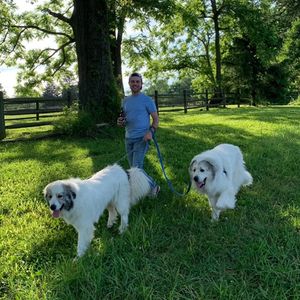 jamesdogdad82