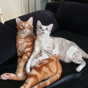 selfieandco