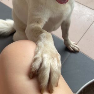 yidian_jiejie