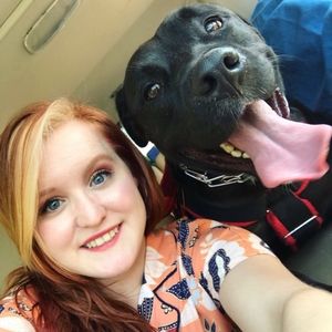 servicedog_maverick