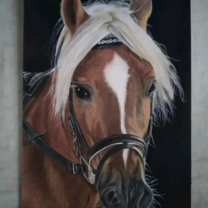 spirited_haflinger