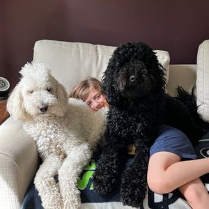 lilypetsforever