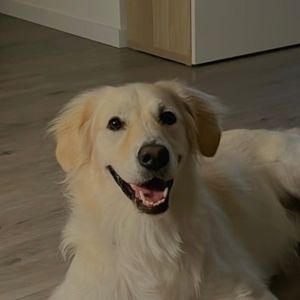 barleypet