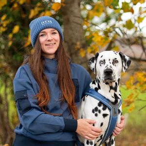 life_with_a_spotty_dog