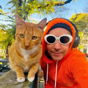 cats_of_lisbon