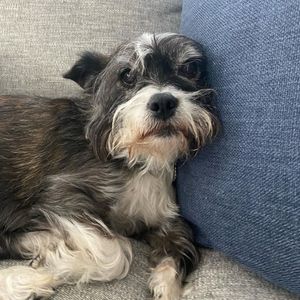 jstbetsy