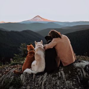 fenya_