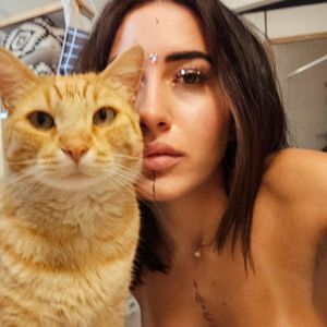 kiwi_body_