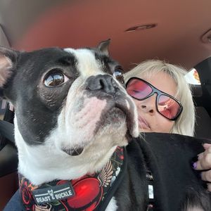 captain_couch_adventures