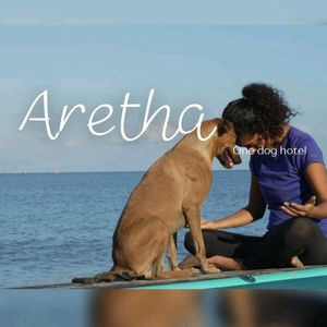 arethadog