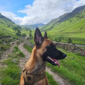 georgeoutdoors82