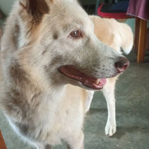 anita_sings