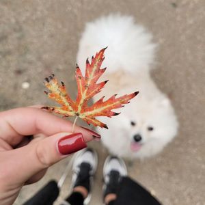 fluffy_vasi
