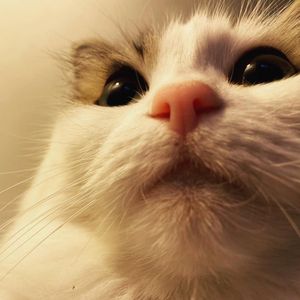 wwwqwilder