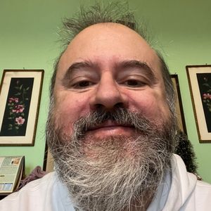 majestic_bull16