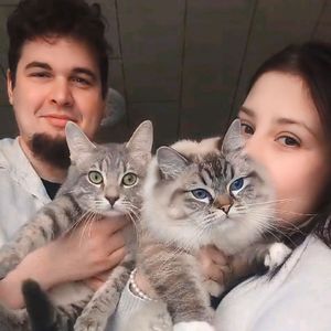 theeuropecats