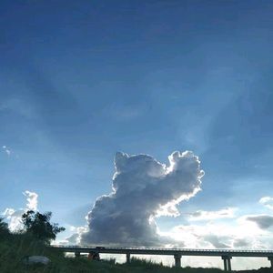 rowdy_hamster1560