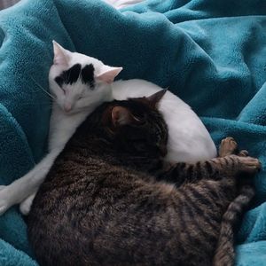 sabi_and_luna