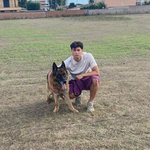 lorenzo_