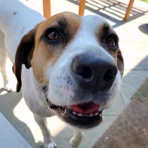 Nikki