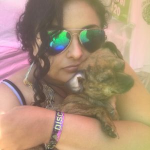 prestigepetcare
