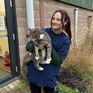stephsextraordinarypets