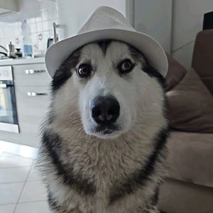 loki