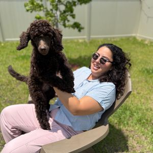 little_zoo_care
