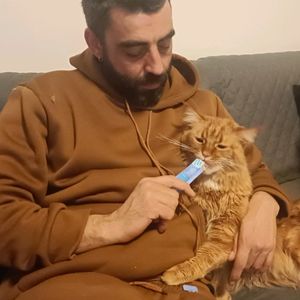 noisy_feline1527