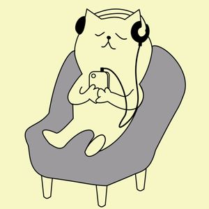 zippy_cat1317