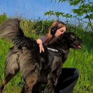 doggocare