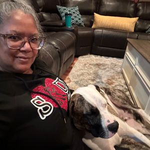 pawsh_pet_pet_sitter