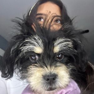 jeasyro