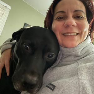 geisy_pet_care