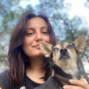 petsitter_aurora