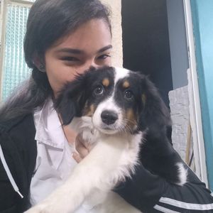 fluffy_fish1433