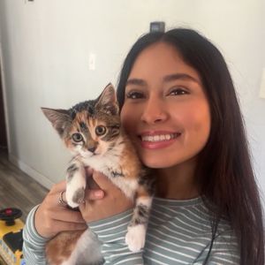Vanessa