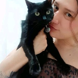 alipetsitters