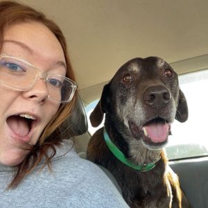 chevy_luvspaws