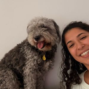 perritolandia_