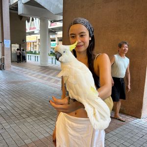 cranky_parrot1710