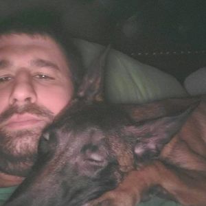 dog_cat_sitter