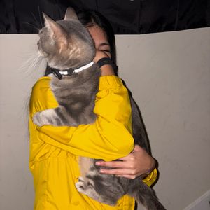 Mia