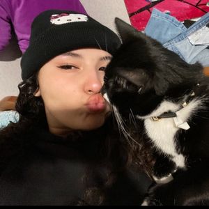 radiant_zebra1664
