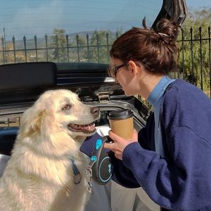 pawsandco