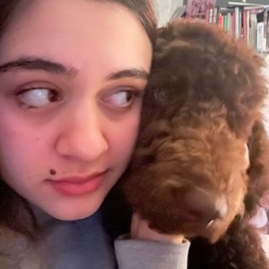 Isabelle, pet sitter in New York
