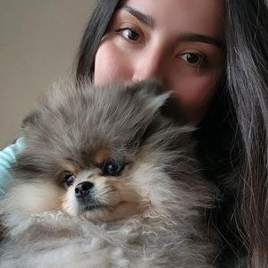 Javiera