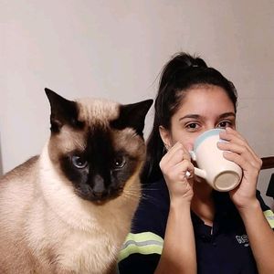 romi_barreto