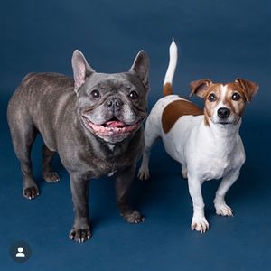 orlandogina72